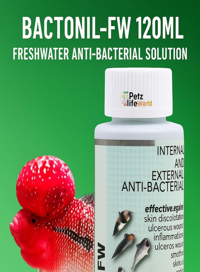 VAYINATO Aquatic Remedies Bactonil-FW 120ml | Freshwater Anti-Bacterial Solution for Aquarium Fish | Treats Fin Rot, Pop Eye, Mouth Fungus & Skin Issues | for Flowerhorn, Arowana, Discus & Other Fish - Image 3